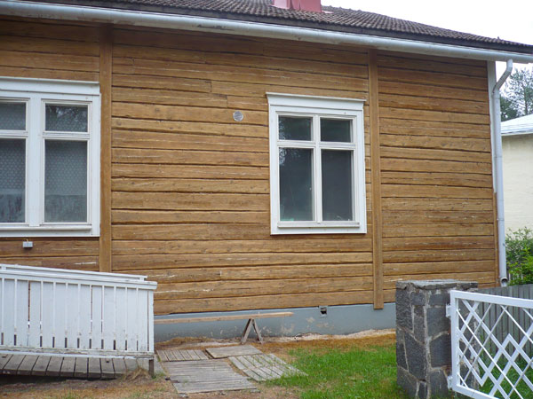Puhdasta hirsipintaa